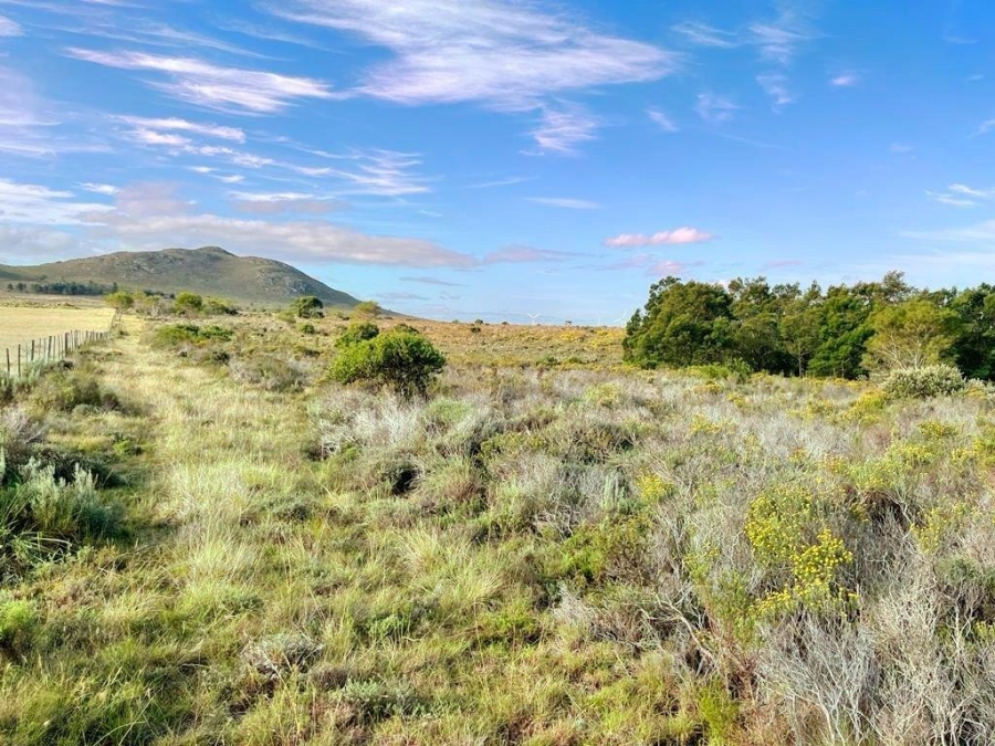 0 Bedroom Property for Sale in Humansdorp Rural Eastern Cape